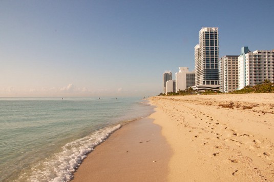 The Six Things You Have to Do in Miami | PC Housing